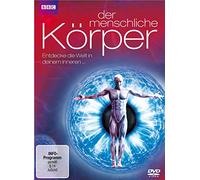 Der menschliche Körper - Entdecke die Welt in deinem Inneren