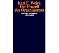 Der Prozeß des Organisierens