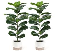 Der Rose 2 Pack 30" Artificial Fiddle Leaf Fig Trees, Mid-Size Faux Plant | Realistic greenery for apartment, living room or office decor; suitable for indoor spaces and covered outdoor styling