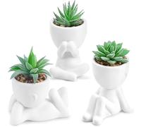 Der Rose 3 Pack Fake Plants for Office Desk Accessories Artificial Succulents Plants for Room Bathroom Home Decor for Women