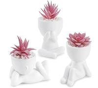 Der Rose 3 Pcs Fake Succulents Plants Artificial Pink Room Office Desk Decor for Women