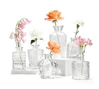 Der Rose 6 Pack Small Glass Bud Vases for Home Vintage Decor | Small Glass Vase Set Thick Sturdy Glass Assorted Shapes Set Small Bouquet Ready Single Stem Display Office Desk Decor