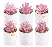 Der Rose Pink Faux Succulent in Pot (6-Pack) - Zero Maintenance Artificial Plants for Home Office Desk Decor, Set, Wedding & Allergy-Free Interior Styling