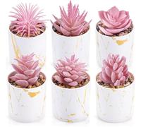 Der Rose Pink Faux Succulent in Pot (6-Pack) - Zero Maintenance Artificial Plants for Home Office Desk Decor, Set, Wedding & Allergy-Free Interior Styling