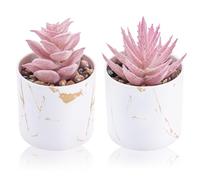 Der Rose Set of 2 Succulents Plants Artificial Mini Fake Succulents Plants for Office Desk Accessories for Women Pink Home Decor