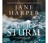 Der Sturm: Thriller