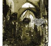 Der Weg Einer Freiheit - Agonie