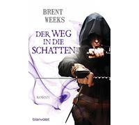 Der Weg in die Schatten: Roman