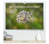 Der Zauber steckt immer im Detail (hochwertiger Premium Wandkalender 2026 DIN A2 quer), Kunstdruck in Hochglanz: Vieles in der Natur erst auf den zweiten Blick schön, wenn man genauer hinsieht!