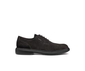 Derbie Geox Ottavio Marron 42