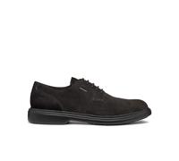 Derbie Geox Ottavio Marron 45