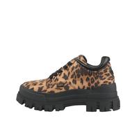 Derbie woman Buffalo Aspha CLS Marron 40