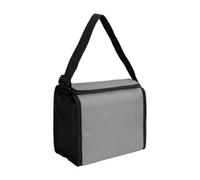 Derby Of Sweden Plain Cooler Bag Dark Grey (One Size)