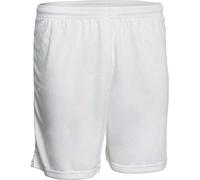 Derbystar Basic Shorts White 140