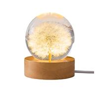 Derefine Flower Crystal Ball Night Light 2.4 Inch Glass Ball Night Lamp with Woodern Base, Daisy Flower Crystal Ball Night Light, Floral Resins Lamp Decor for Home Decor Display Gifts (A)