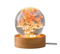 Derefine Flower Crystal Ball Night Light 2.4 Inch Glass Ball Night Lamp with Woodern Base, Daisy Flower Crystal Ball Night Light, Floral Resins Lamp Decor for Home Decor Display Gifts (C)