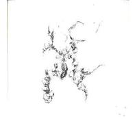 Derek Bailey & Keiji Haino - Guitar Duo