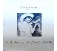 Derek Jarman Finger in the Fishes Mouth Paperback Book Derek Jarman Multicolor