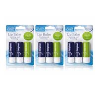 Derma Intensive Lip Balm Set (3 Pack) - With Vitamin E & Aloe Vera - Soothing & Protecting Care for Dry Lips