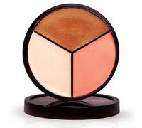Dermaflage Lit From Within Luminizer Palette - 3-in-1 Bronzer, blush for cheeks & Highlighter Balm - Hydrating, Dewy Glow for Face & Body - 0.35 oz