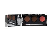 Dermaflage Tattoo Cover Up Makeup (Deep) - Bruise Full Coverage Concealer - Full Coverage Waterproof Concealer for Bruise, Scars & Acne - Smudge Proof Body Makeup Palette with 3 Pro SFX Shades + Brush
