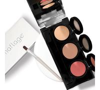 Dermaflage Tattoo Cover Up Makeup (Light) - Bruise Full Coverage Concealer - Full Coverage Waterproof Concealer for Bruise, Scars & Acne - Smudge Proof Makeup Palette with 3 Pro SFX Shades + Brush