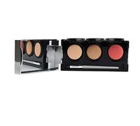 Dermaflage Tattoo Cover Up Makeup (Medium) - Bruise Full Coverage Concealer - Full Coverage Waterproof Concealer for Bruise, Scars & Acne - Smudge Proof Palette with 3 Pro SFX Shades + Brush