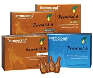 Dermoscent Essential 6 Skin Supplement (Pack Size: Small Dog)