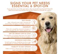Dermoscent | Essential 6 Spot-On | Dog Itchy Skin Relief | Dandruff &...