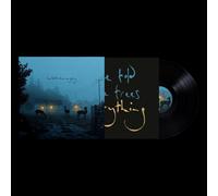 Dermot Kennedy - I've told the trees everything [VINYL]