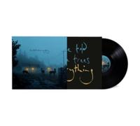 DERMOT KENNEDY: I'VE TOLD THE TREES EVERYTHING - LP vinyl BRAND NEW
