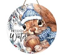 Deroro Hello Winter Squirrel Front Door Sign, Acorn Pine Needle Wood Door Hanger Outdoor Outside Porch Decor, Christmas Seasonal Wooden Wreath Indoor Wall Hanging Decoration
