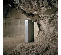 DERU - WE WILL LIVE ON [VINYL]