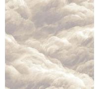 DERUINVAIO Self Adhesive Peel and Stick Wallpaper 45x300cm Soft Beige Clouds Subtle Textures Light Gradients Wall Paper Roll Waterproof Removable Contact Paper Vinyl Wrap for Furniture Living Room