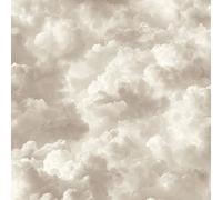DERUINVAIO Self Adhesive Peel and Stick Wallpaper 58x300cm Soft Neutral Cloudscape Puffy Clouds Warm Tones Wall Paper Roll Waterproof Removable Contact Paper Vinyl Wrap for Furniture Living Room