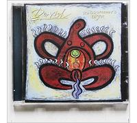 Dervish - Midsummer's Night