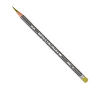 Derwent 10 Graphitint Pencil - Meadow