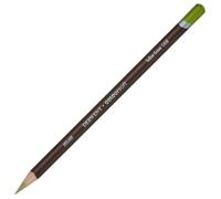 Derwent Coloursoft Pencils - Assorted - YELLOW GREEN