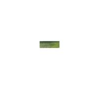 Derwent Inktense Blocks - Fern 1560