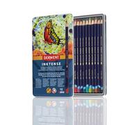 Derwent Inktense Permanent Watercolour Pencils, Set of 12 in a Tin, 4mm Premium Core, Water-Soluble, Ideal for Colouring, Painting and Crafting, Professional Quality (0700928)