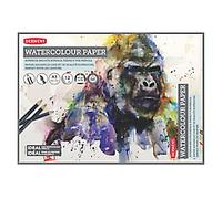 DERWENT Pad 2301971 300 gsm A3 White