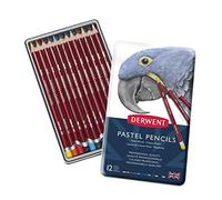 Derwent Pastel Pencils Cedar Wood Assorted Colours Ref 32991 [Pack 12]