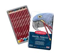 Derwent Pastel Pencils, Soft Pastel Drawing Pencils, Tin Of 12, Easy Blending & Control, For Detailed Pastel Artwork, 32991
