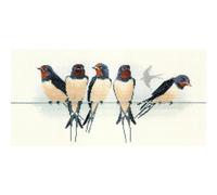 Derwentwater Designs Counted Cross Stitch: Swallows