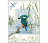 Derwentwater Designs Wildlife Picture kit: Kingfisher