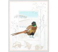 Derwentwater Designs Wildlife Picture kit: Pheasant