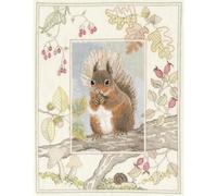 Derwentwater Designs Wildlife Picture kit: Red Squirrel