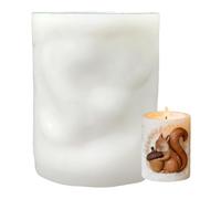 Derwrtup Candle Molds,3D Squirrel Acorn Relief Molds,Cylinder Candle Crafting Mould | for DIY Lovers Beginners Plaster Resin Craft Home Apartment Farmhouse Holiday Party
