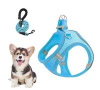 Derwrtup Cat Harness and Lead Set, Harness and Leads, Medium Dogs, Breathable Reflective Vest Harness for Dogs, Puppies, Cats, Hiking, Veterinarian, Training, Car Travel, Camping, Trips