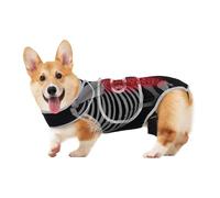 Derwrtup Dog Back Support for Herniated Disc, Adjustable Spine Stabilization Brace, Small Support Harness, for Home Use, Outdoor Activities, Travel,